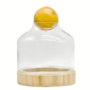 The cloche glass dome.